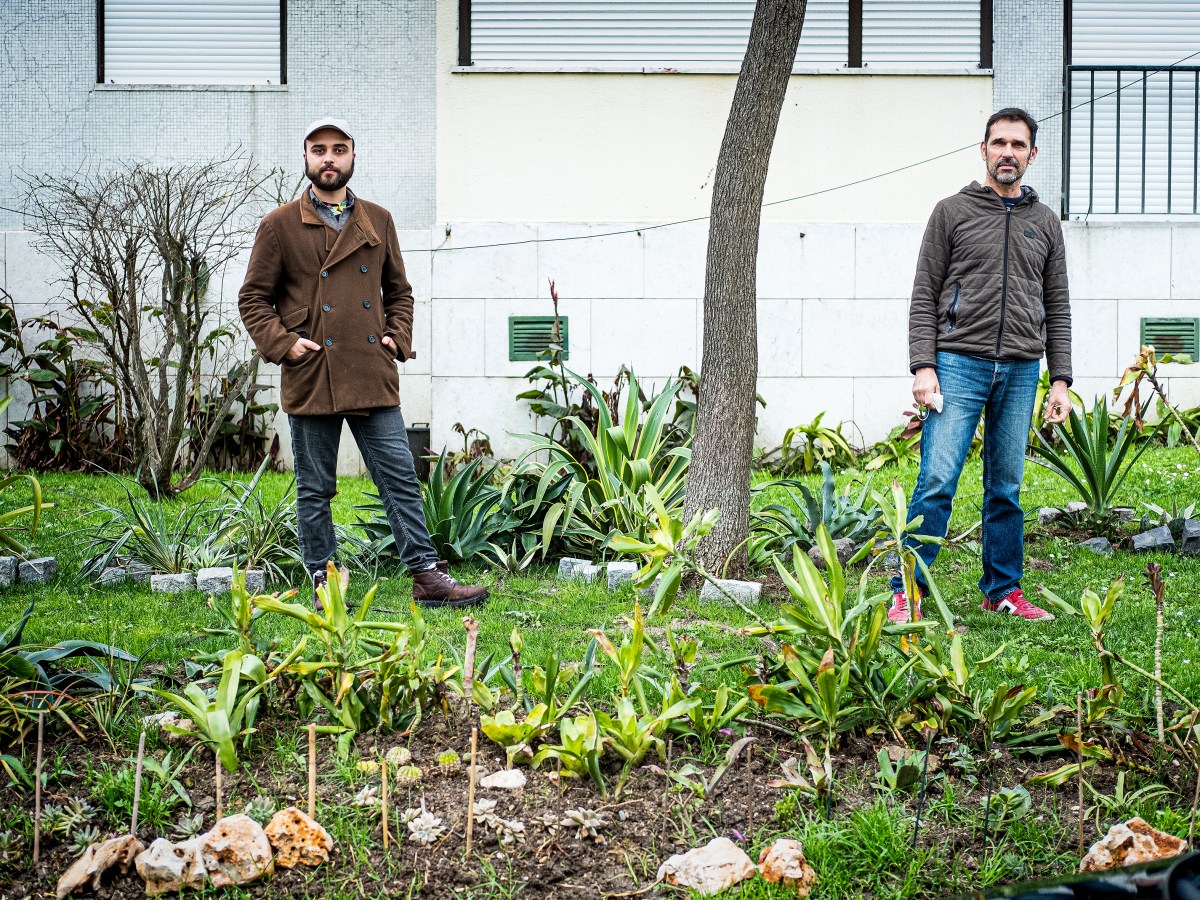 Um jardineiro fiel, um ativista nas redes sociais e a revolução num jardim de Alvalade