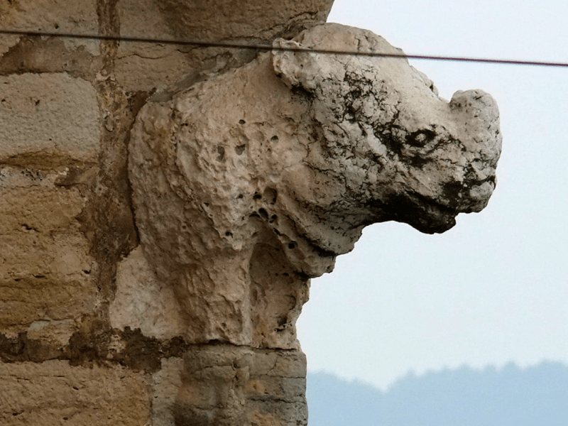 Lisboa pelos animais: o estranho rinoceronte da Torre de Belém