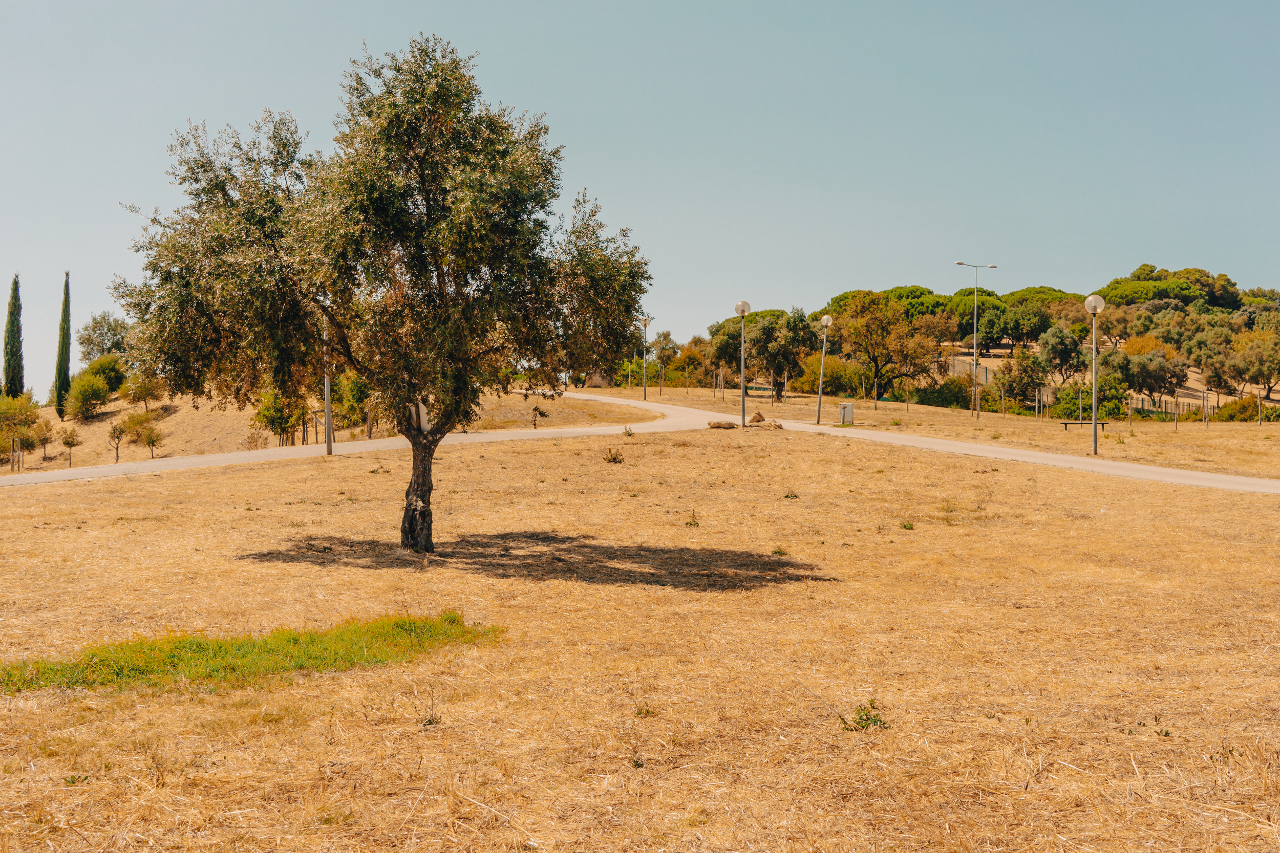 LIFE LUNGS: Rebuilding Lisbon's Urban Green Infrastructure for Climate Resilience